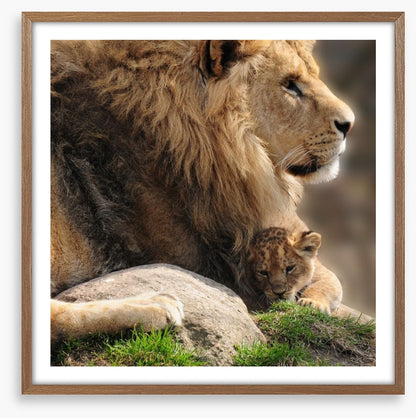 Pride and protection