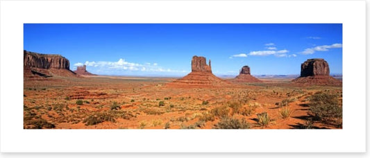 Arid Arizona