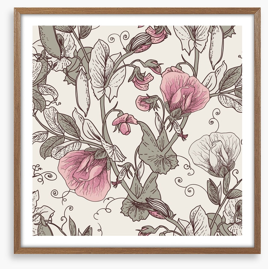Pink pea petals