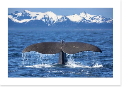 Whale tail wave