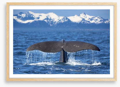 Whale tail wave