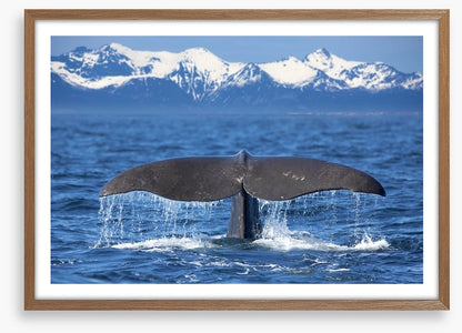 Whale tail wave
