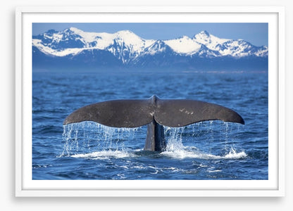 Whale tail wave