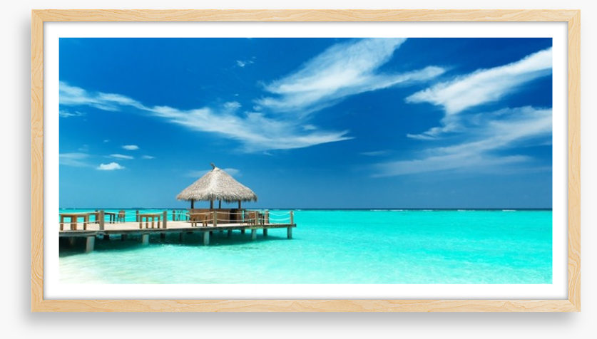 Tropical sandbar