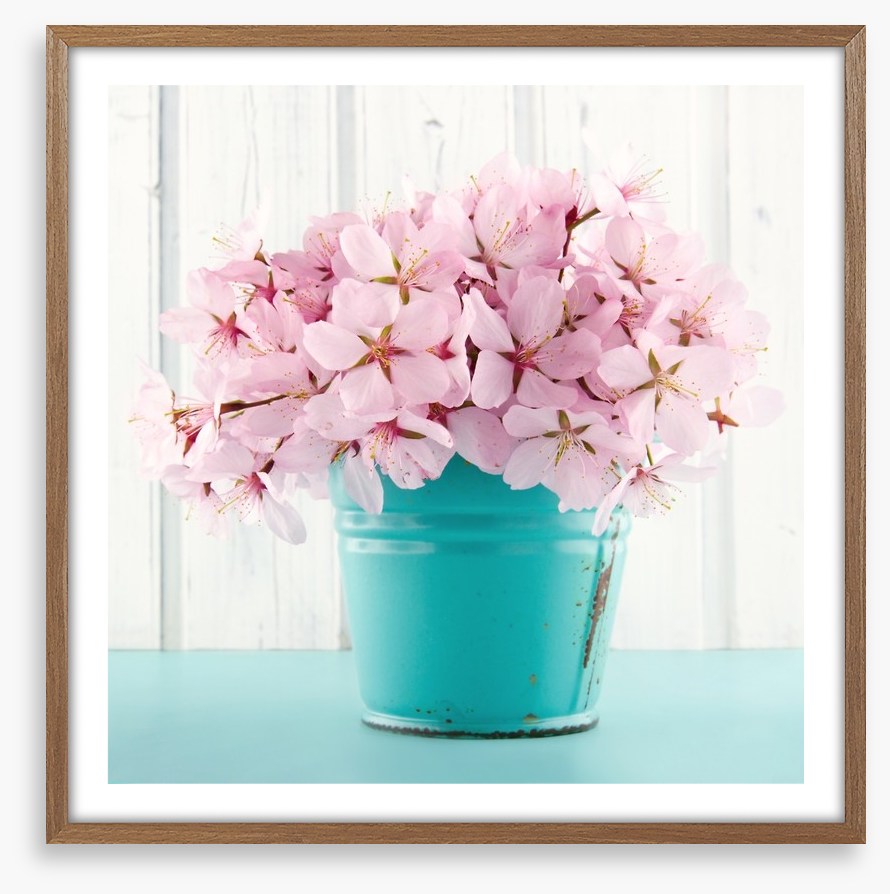Pink cherry blossom