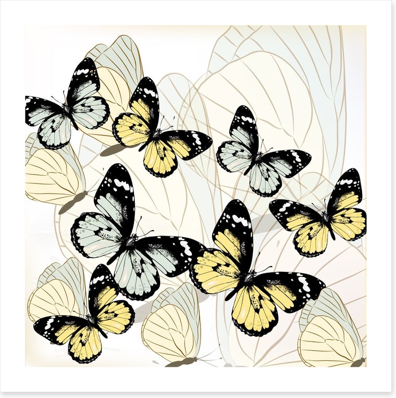 Butterflies
