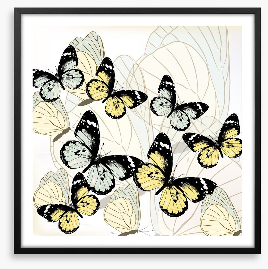 Butterflies