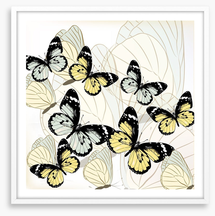 Butterflies