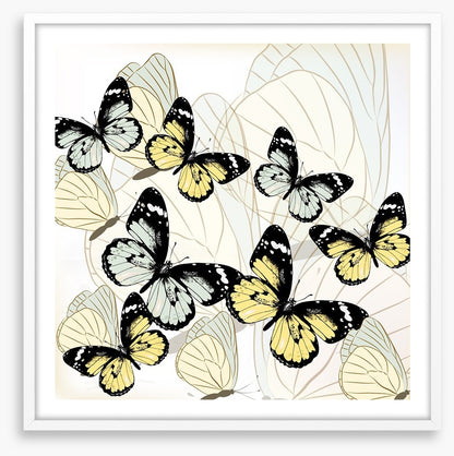 Butterflies