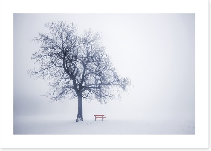 Red bench in Winter