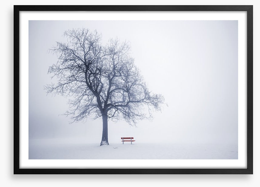 Red bench in Winter