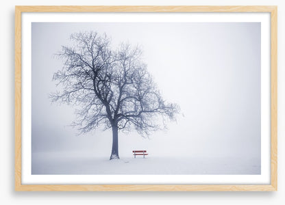 Red bench in Winter