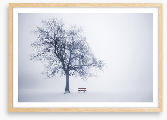 Red bench in Winter