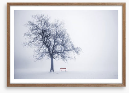 Red bench in Winter