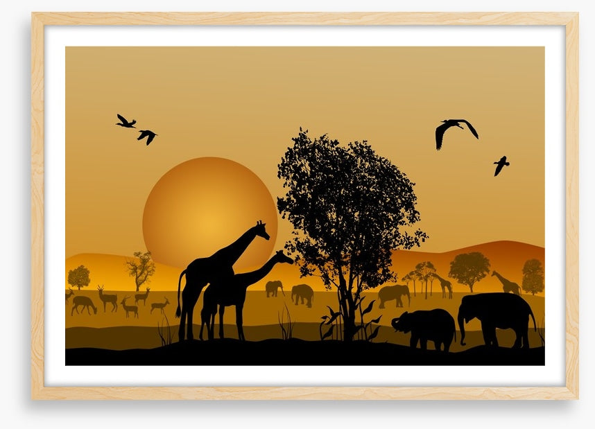 Golden safari sunset