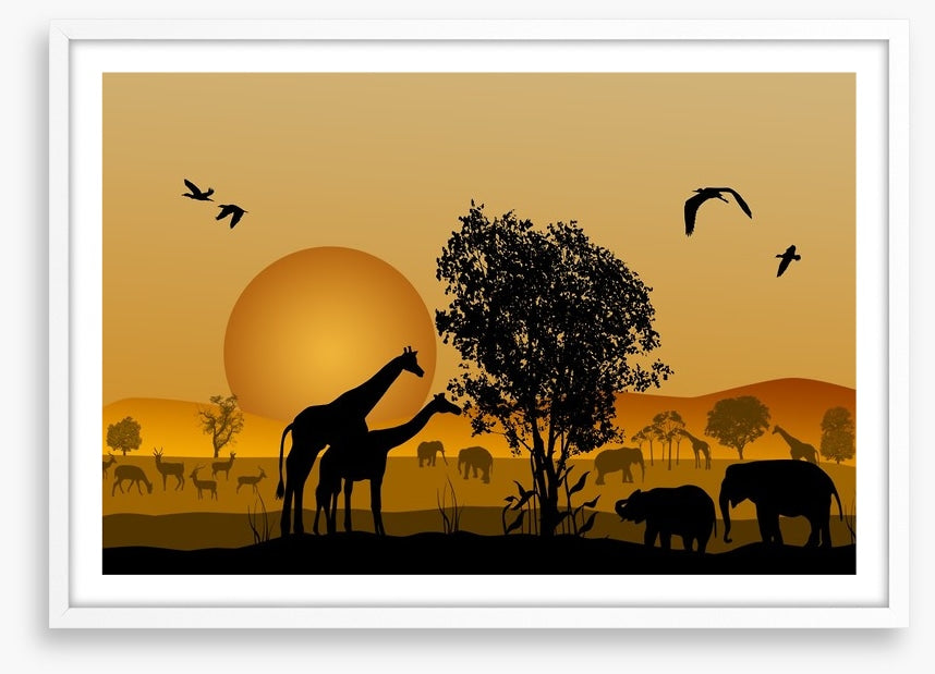 Golden safari sunset