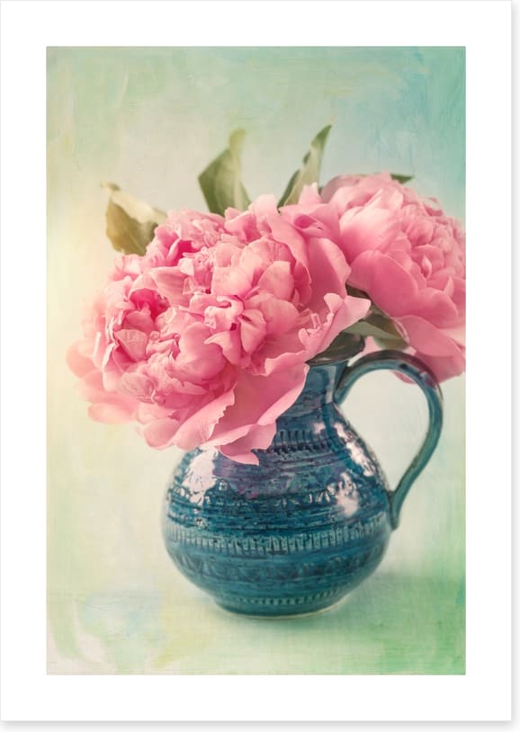 Pink peony pair