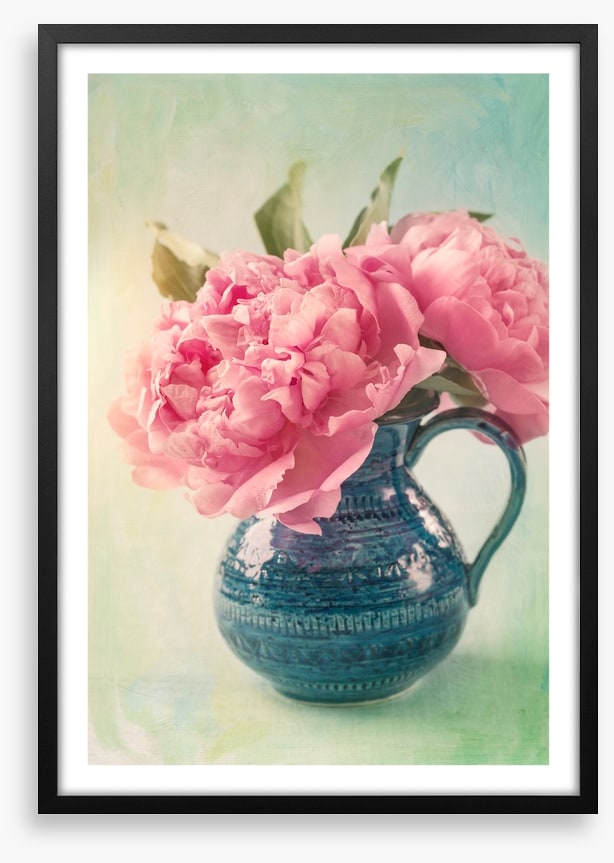 Pink peony pair