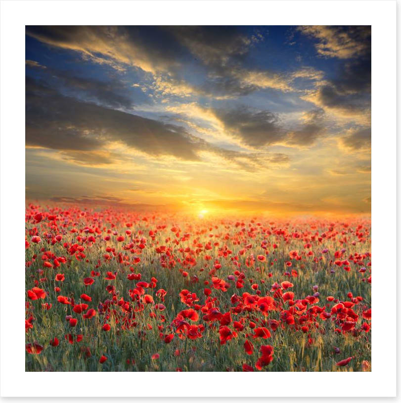 Remembrance