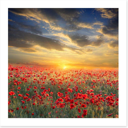 Remembrance