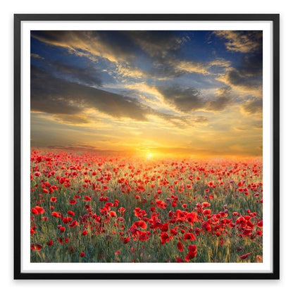 Remembrance