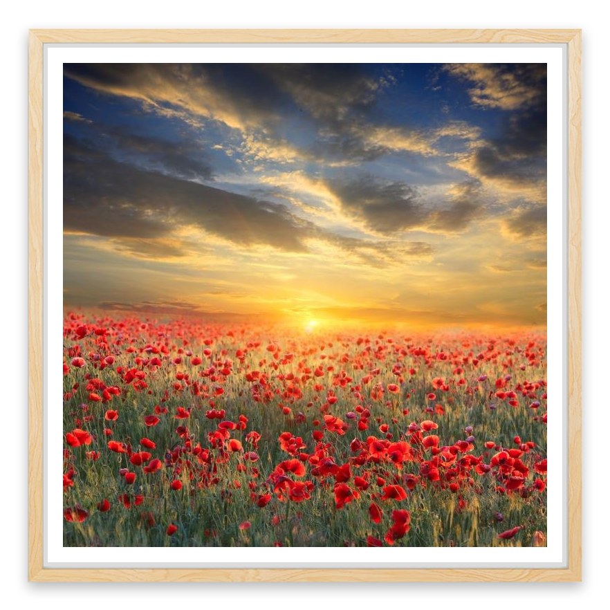 Remembrance