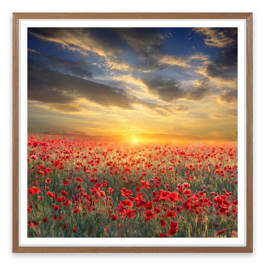 Remembrance