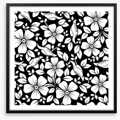 Black and White