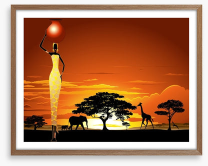 Savanna sunset