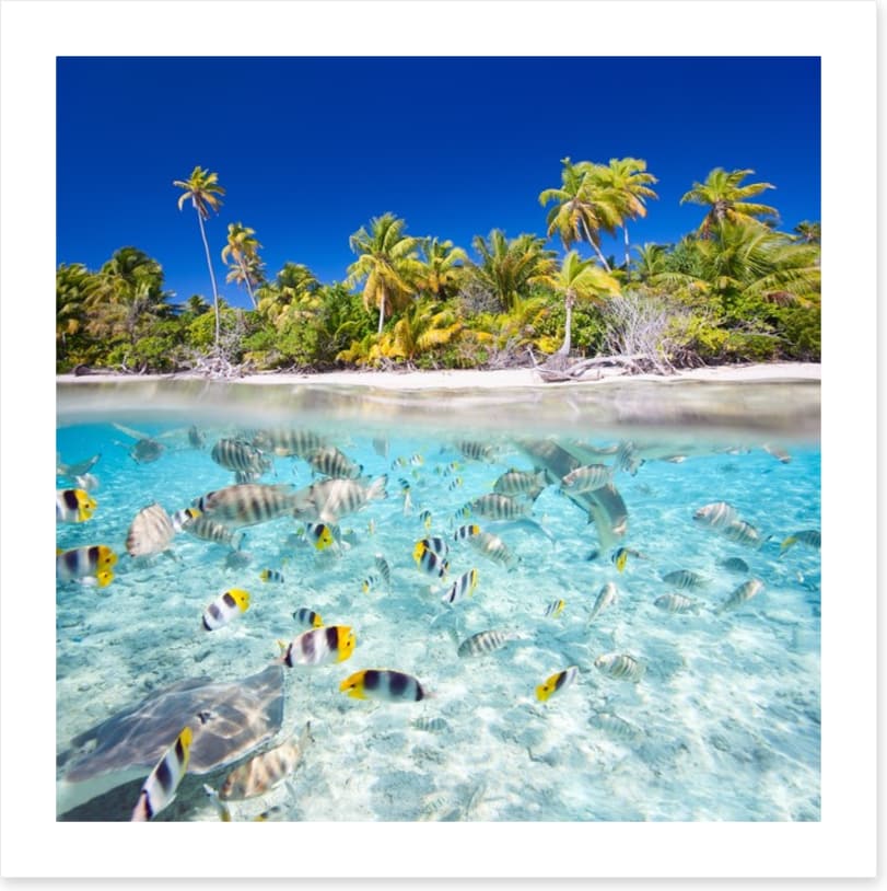 Tropical island paradise