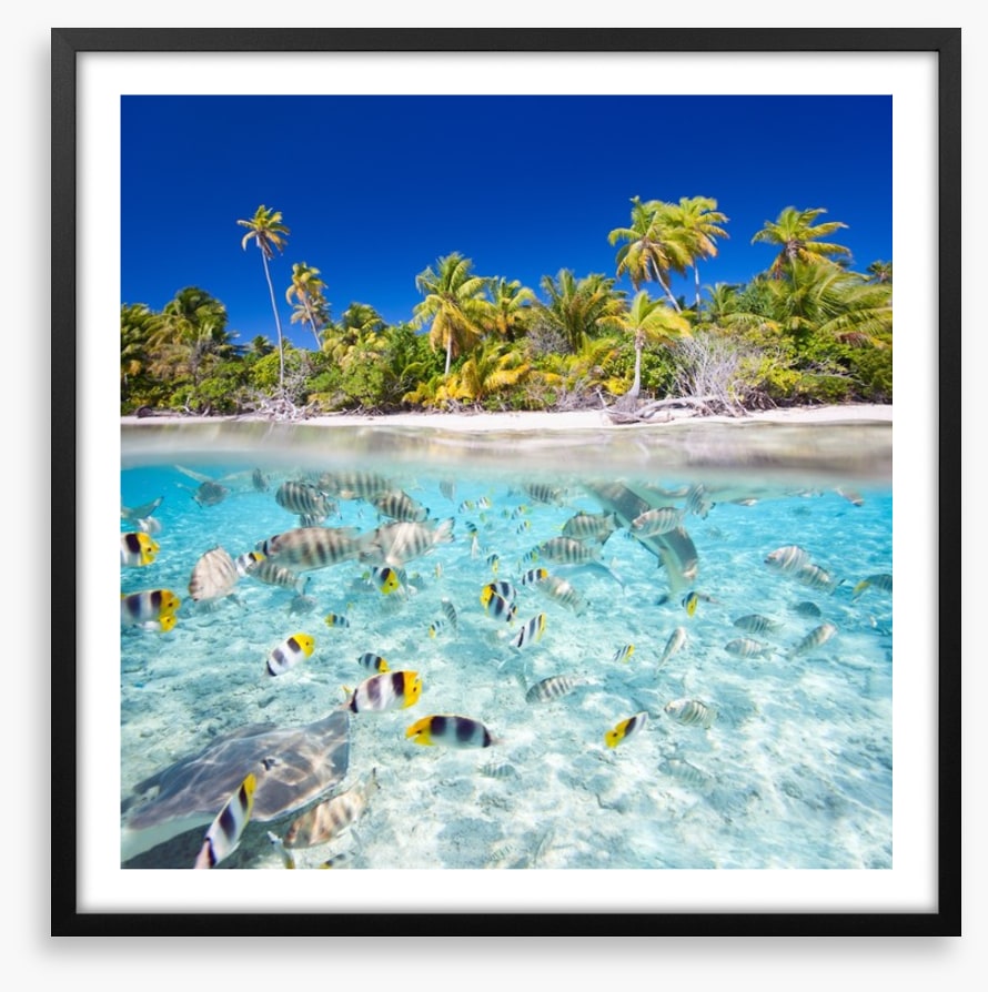 Tropical island paradise