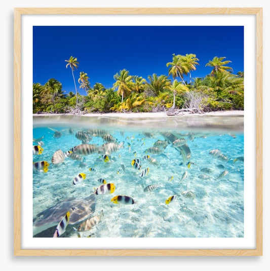 Tropical island paradise