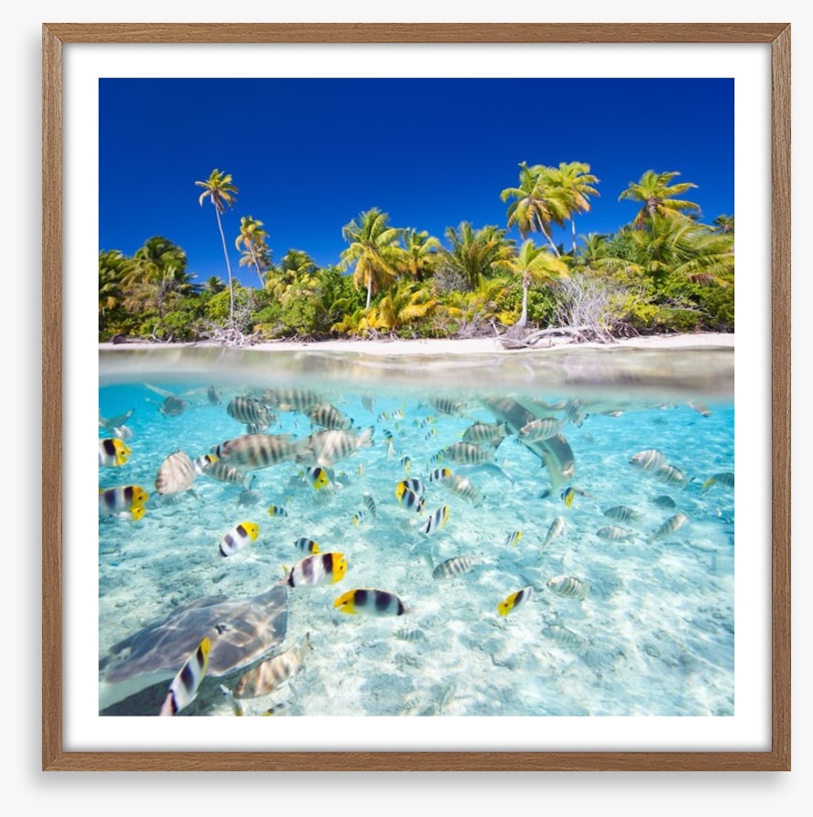 Tropical island paradise