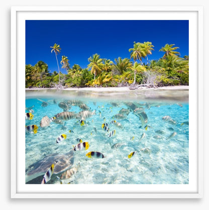 Tropical island paradise