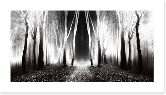 Forests