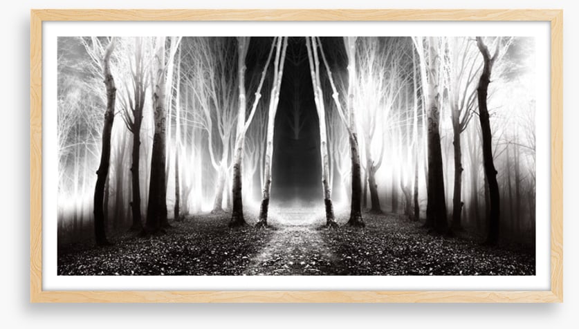 Forests