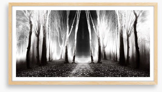 Forests