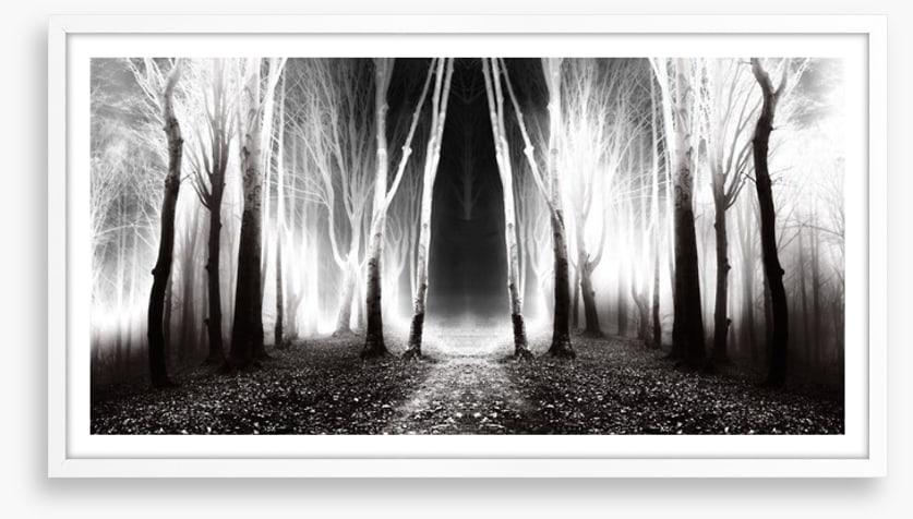 Forests