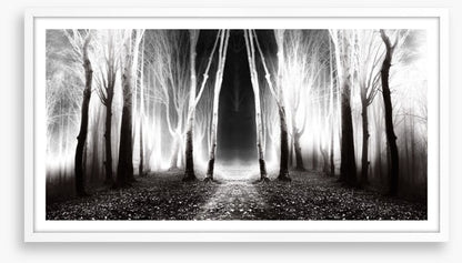 Forests