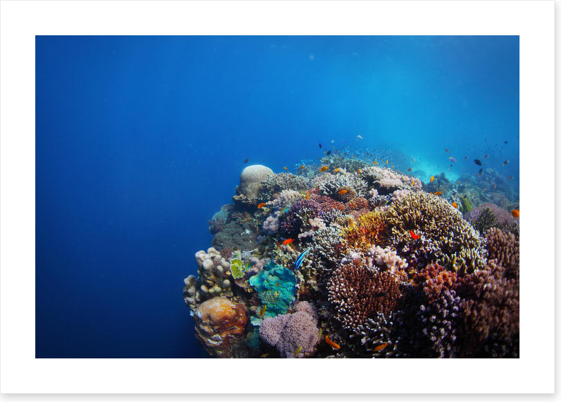 Underwater