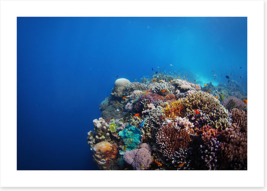 Underwater