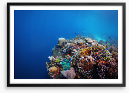 Underwater
