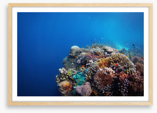 Underwater