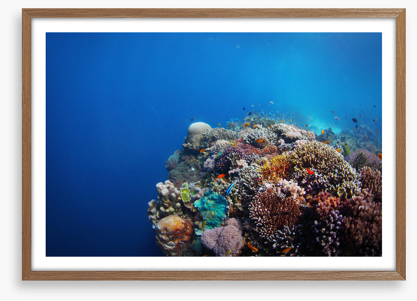 Underwater