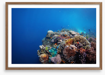 Underwater