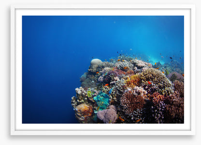 Underwater