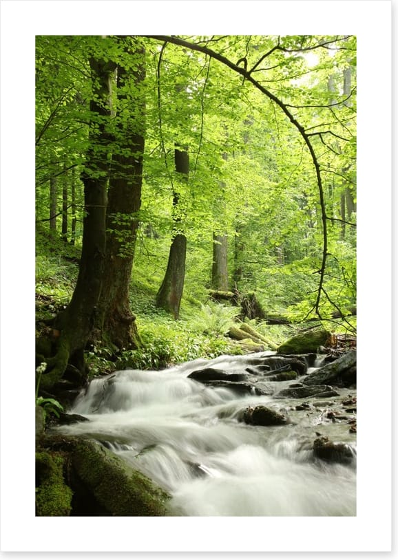 Spring cascades