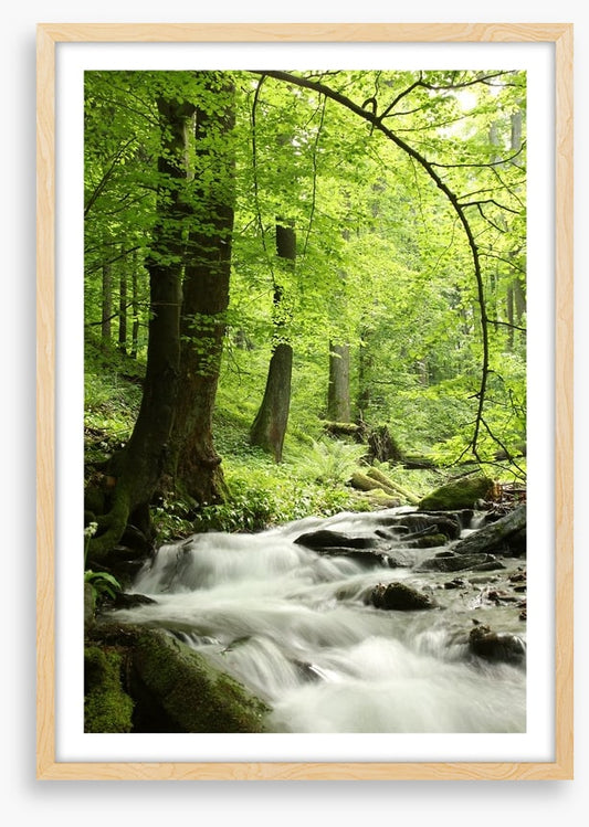 Spring cascades