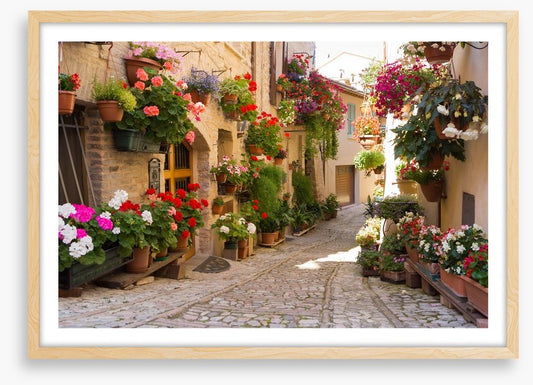 Italian alley with flowers