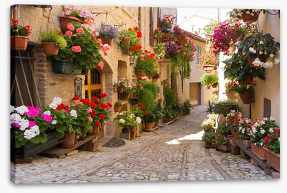 Italian alley with flowers